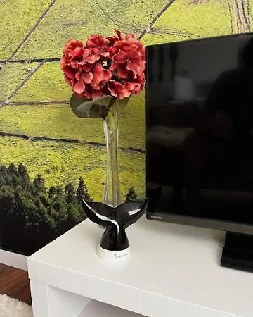 Cristal 1 Esq Monte Brasil *