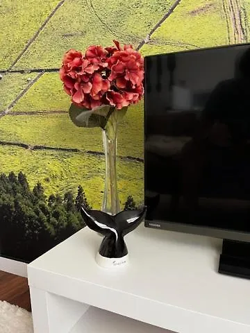 Cristal 1 Esq Monte Brasil *